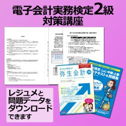 画像1: 191電子会計実務検定2級対策WEB講座【送料無料】【超えたら割引対象商品】