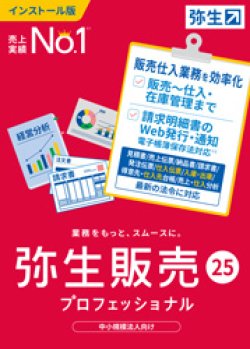 画像1: 弥生販売25プロフェッショナル（新製品）【送料無料】