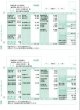 給与明細書グリーン（ページプリンタ/インクジェットプリンタ兼用） 500枚入