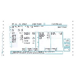 画像1: 給与明細書（連続用紙/15インチドットプリンター用）