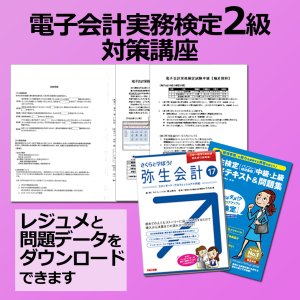 画像: 191電子会計実務検定2級対策WEB講座【送料無料】【超えたら割引対象商品】