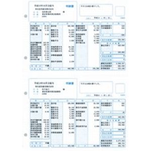 画像: 給与明細書ページプリンタ用紙 　500枚入