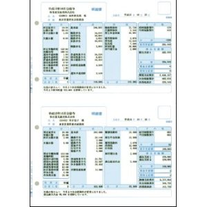画像: 給与明細書（ページプリンタ/インクジェットプリンタ兼用） 500枚入